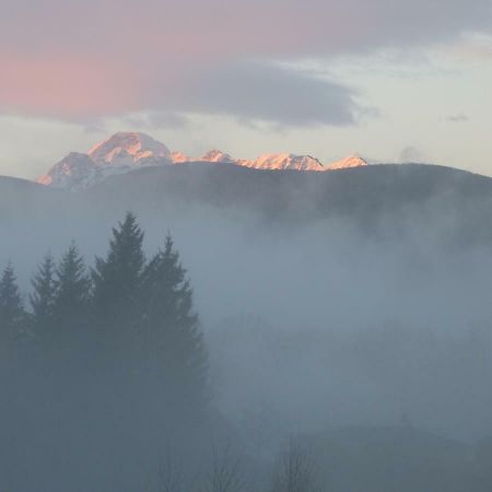 Splendide Vue Pyrenees, Rez De Jardin 2 Chambres Montjoie-en-Couserans Eksteriør bilde