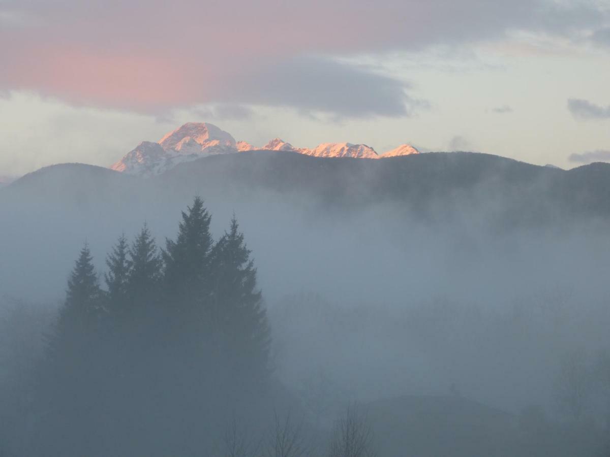 Splendide Vue Pyrenees, Rez De Jardin 2 Chambres Montjoie-en-Couserans Eksteriør bilde