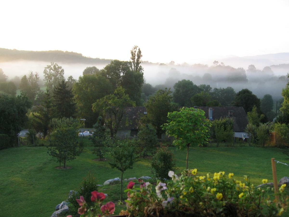 Splendide Vue Pyrenees, Rez De Jardin 2 Chambres Montjoie-en-Couserans Eksteriør bilde